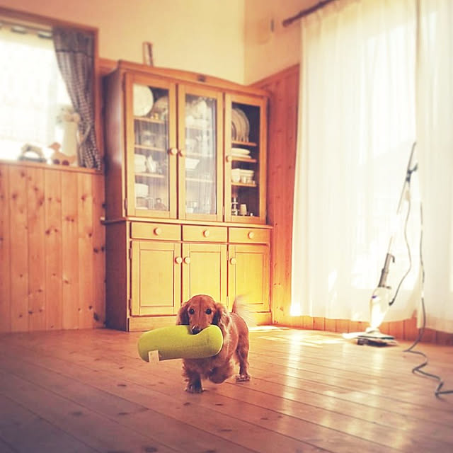 chiyumiさんの実例写真