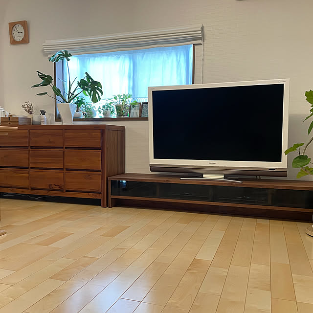 マスターウォールのテレビボードのおすすめ商品とおしゃれな実例