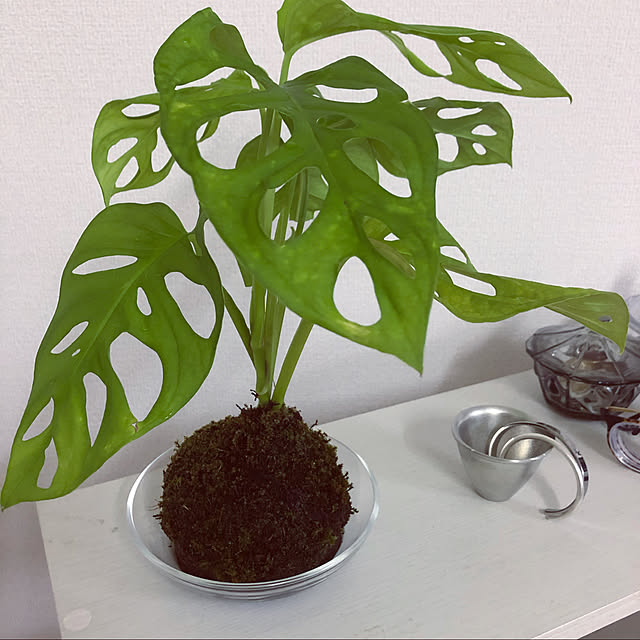 riiiさんの実例写真