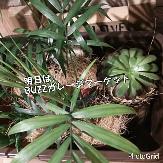 riesanchiさんの実例写真