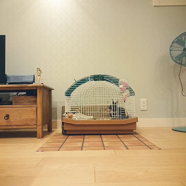komari-usagiさんの実例写真