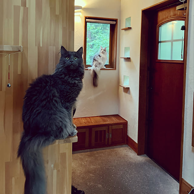 Kikko.さんの実例写真