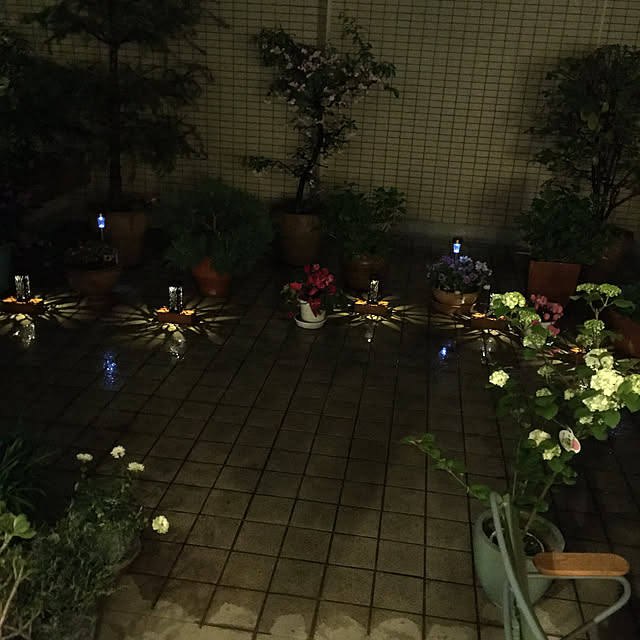 happy-sachiさんの実例写真