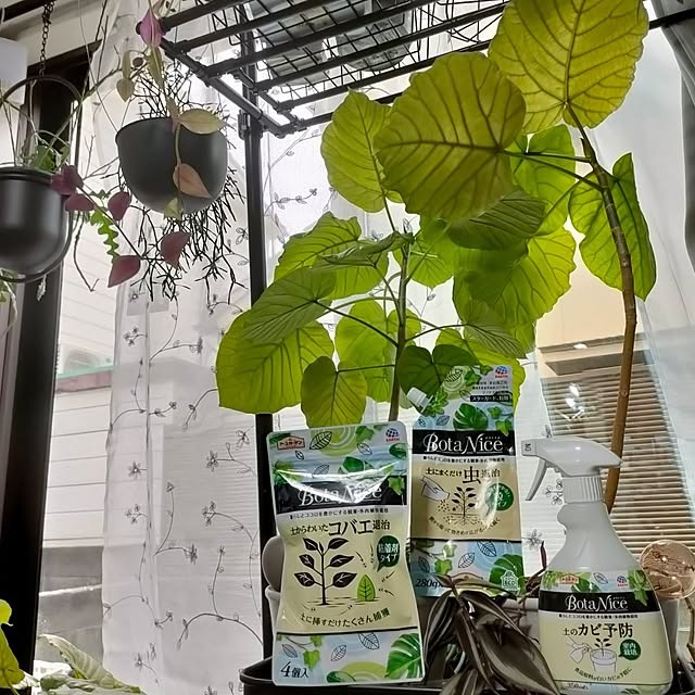 napiさんの実例写真