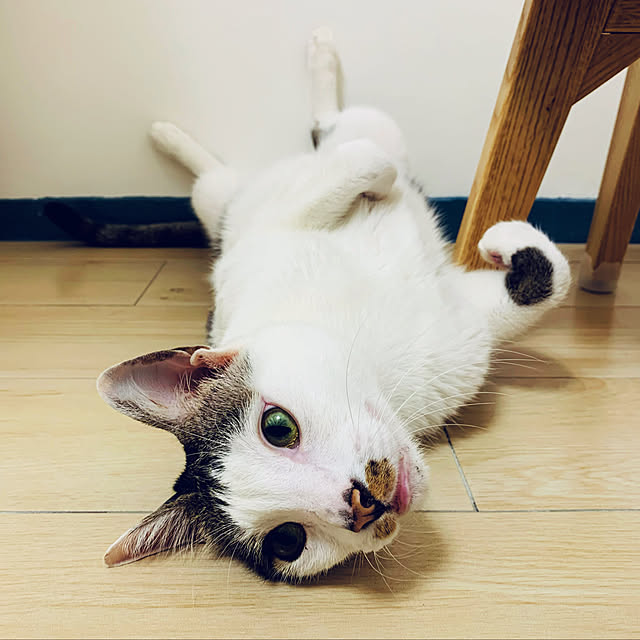 pcu110さんの実例写真