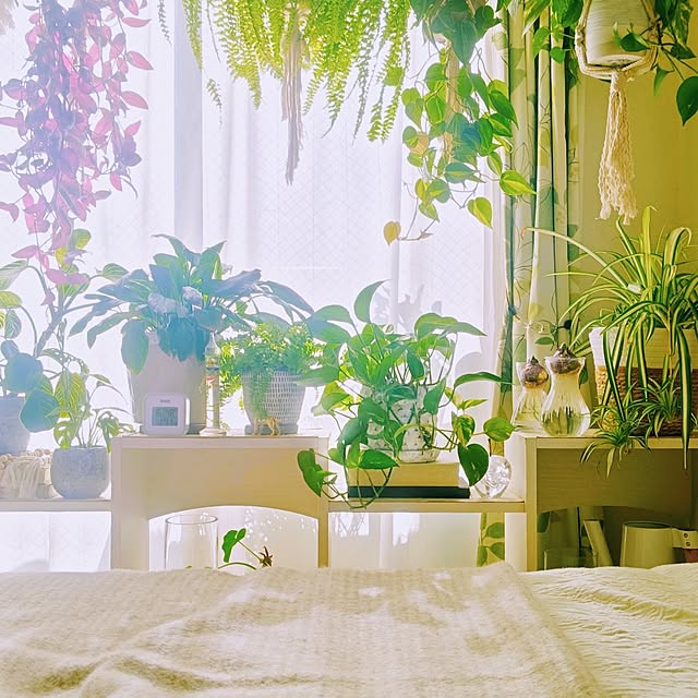 YuriYuriさんの部屋