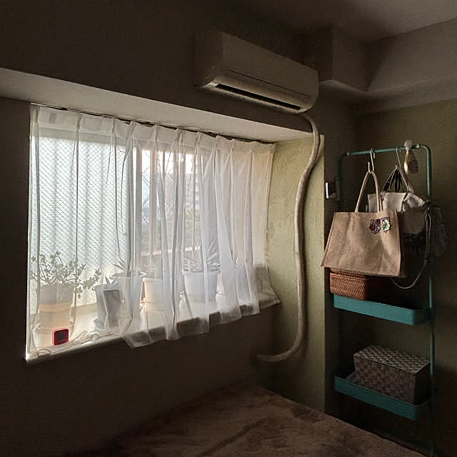 koshiregutyoさんの部屋