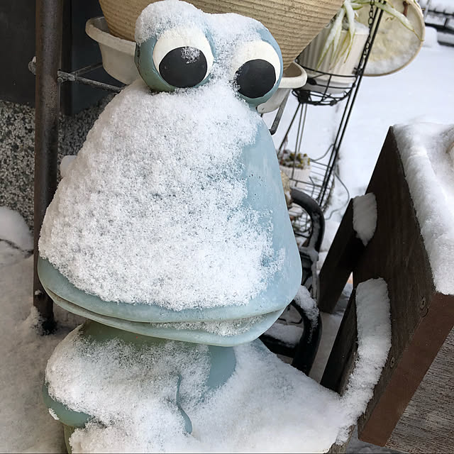 kaeruさんの実例写真