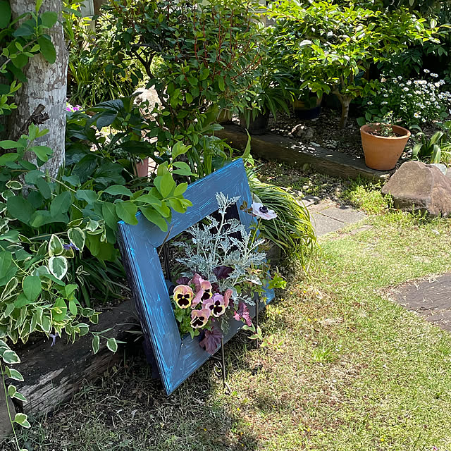 nobikoさんの部屋