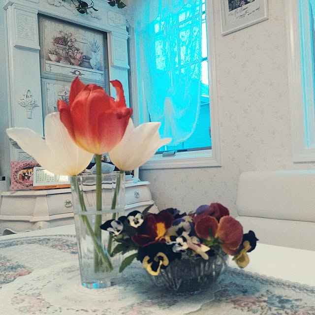 hasano_jpさんの実例写真