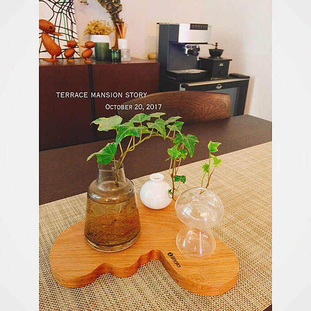 terracemansionstoryさんの実例写真
