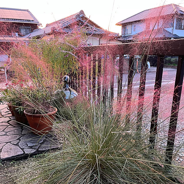 shin0719さんの部屋