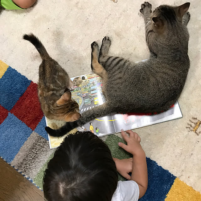 pepeさんの実例写真