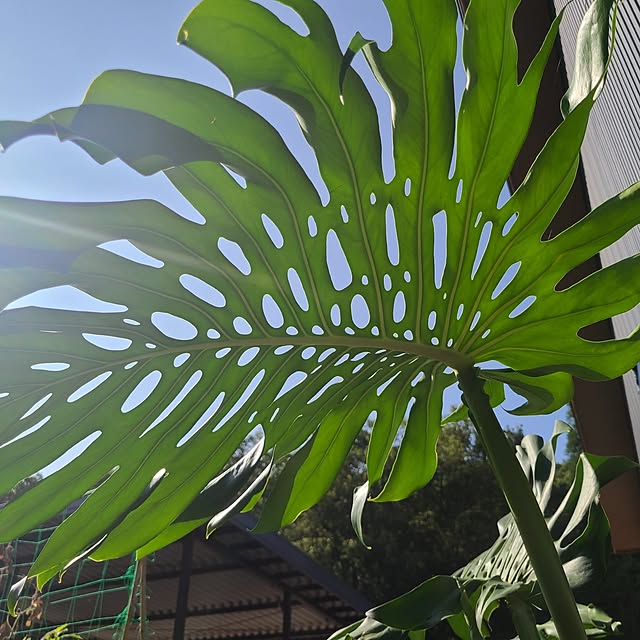 Rubiconさんの部屋