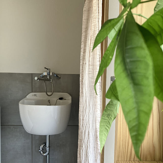 hira_muji_mihiさんの実例写真