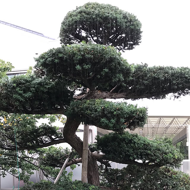 EMIKOさんの実例写真