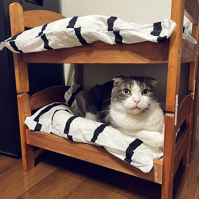 ベッド周り/IKEA/水性ニス/猫と暮らす/ドールベッド...などのインテリア実例 - 2025-06-05 17:49:36