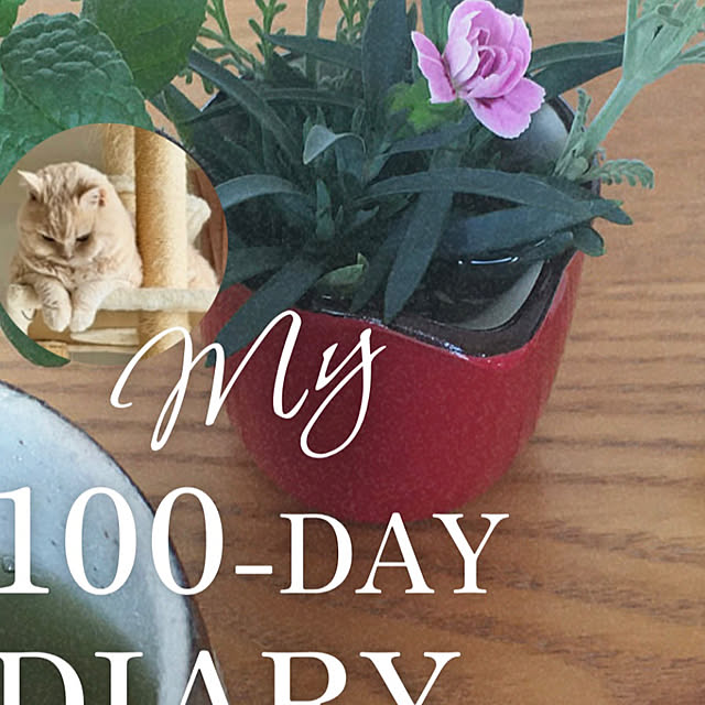 naokoさんの部屋