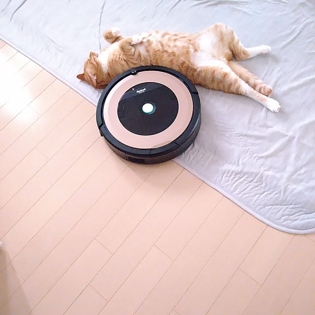 koromaroさんの実例写真