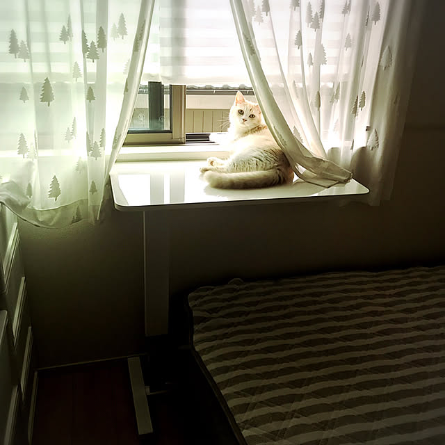 H.Tさんの実例写真