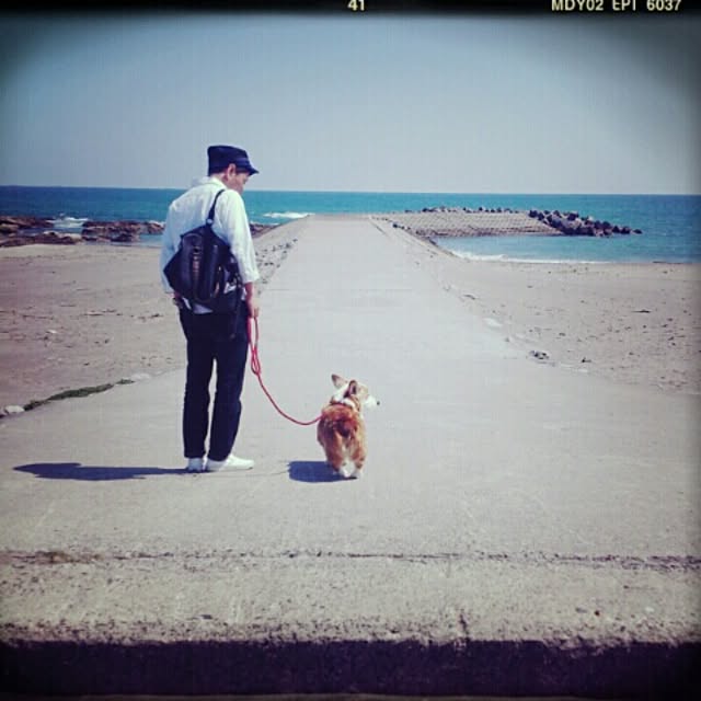 usukoさんの実例写真
