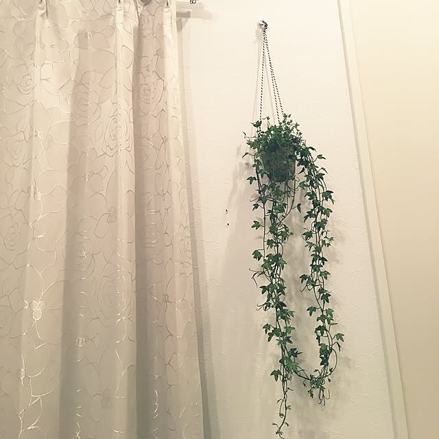 Enaさんの実例写真