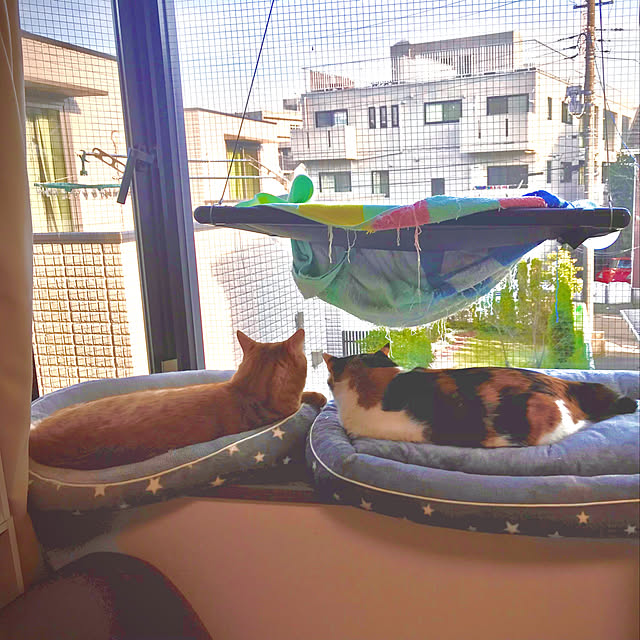 torahanaさんの実例写真