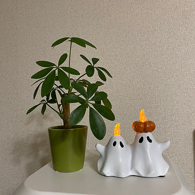 mamimoさんの実例写真