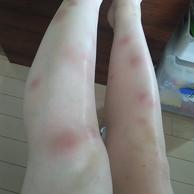 tomo3さんの実例写真
