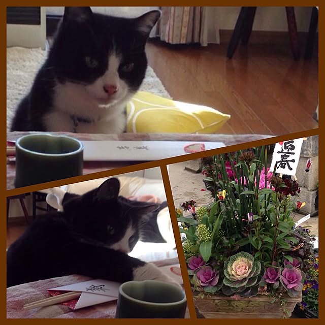 harumigaokaさんの実例写真