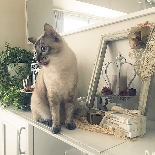 noelさんの実例写真
