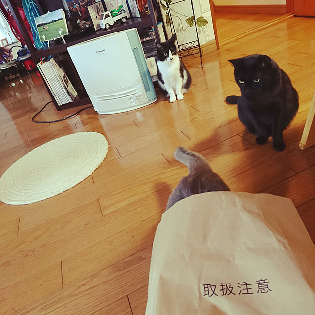 uchizukonyanさんの実例写真