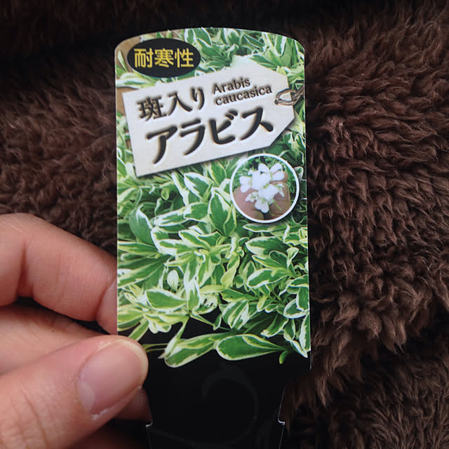 Akikoさんの実例写真