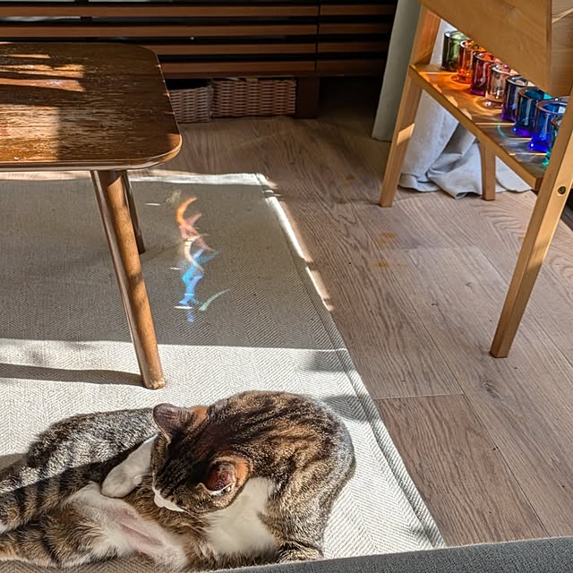 ichi.さんの部屋
