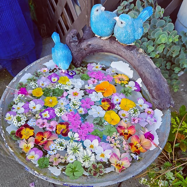mocomocoさんの実例写真
