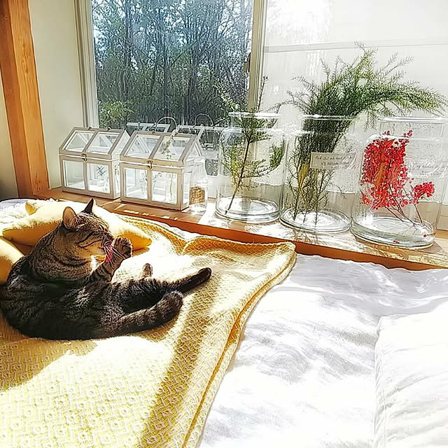 weさんの実例写真