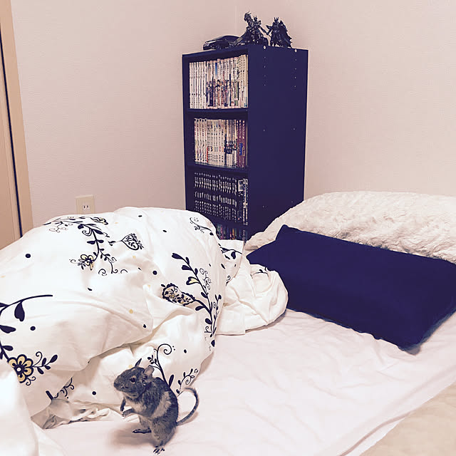 meshiさんの実例写真