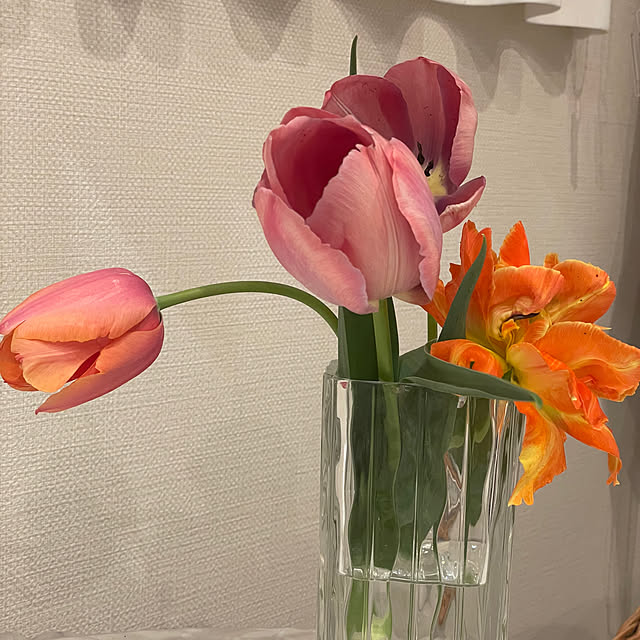 --new--ends--さんの実例写真