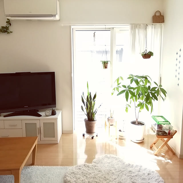 tirolさんの実例写真