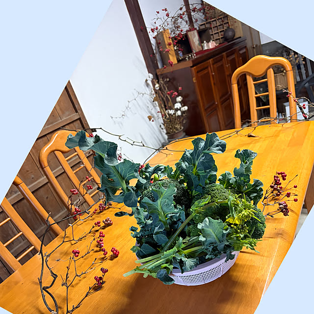 cotaさんの実例写真