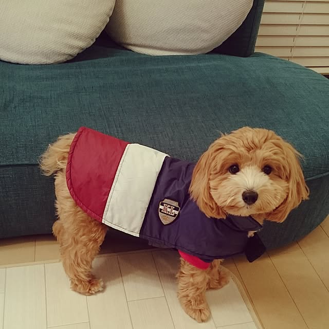 mi-さんの実例写真
