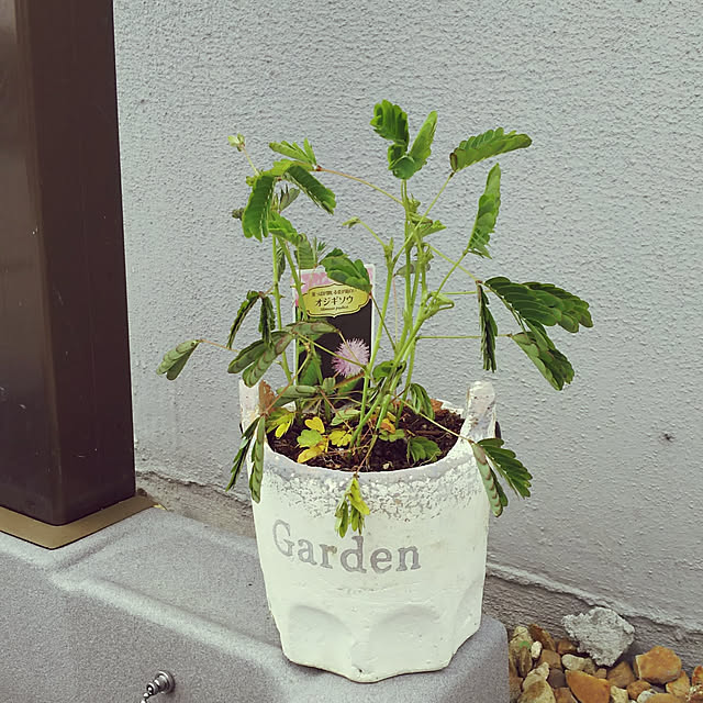 KOHAKUさんの実例写真