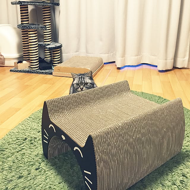 hiyupan88さんの実例写真