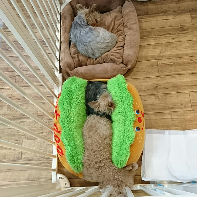 8318さんの実例写真