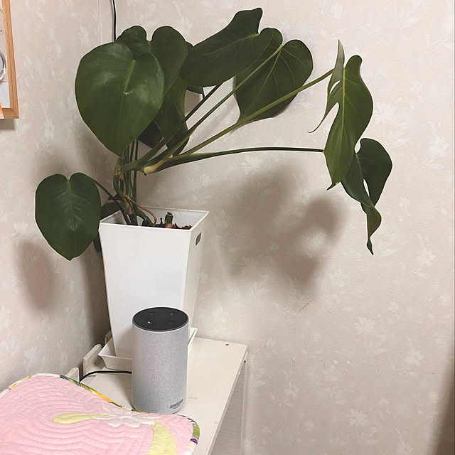 chaimomさんの実例写真