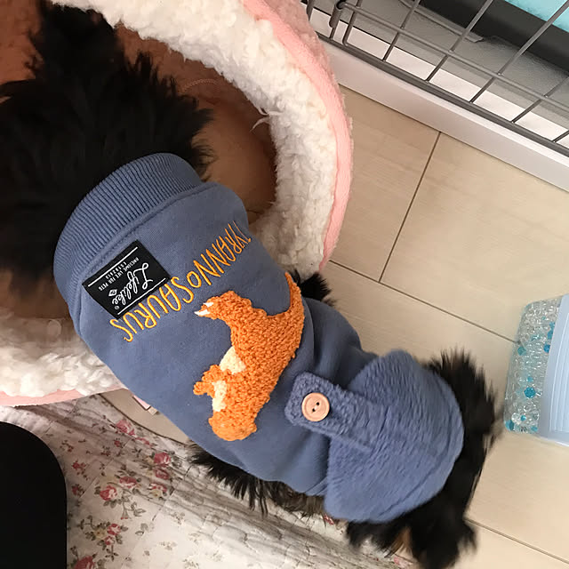 msさんの部屋