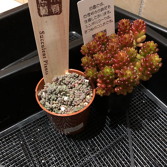 Yusukeさんの実例写真