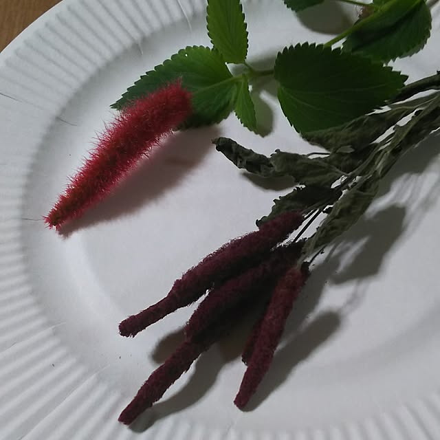 mmpoohさんの実例写真