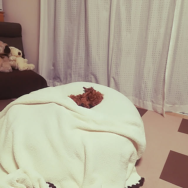 junjunさんの実例写真