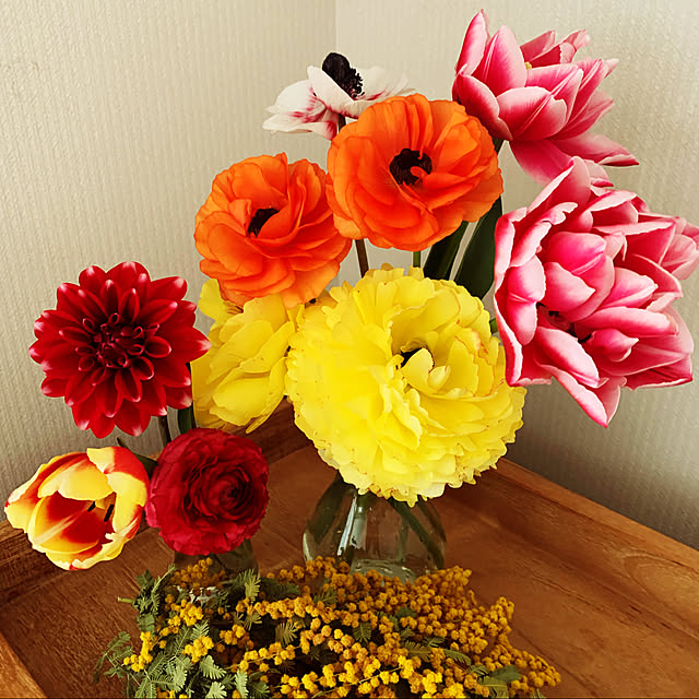 aporotiaさんの実例写真